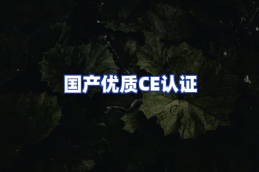 国产优质CE认证